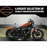 2020 Harley-Davidson Sportster Iron 883 for sale 201317939