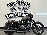 2020 Harley-Davidson Sportster Iron 883 for sale 201596745