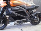 Thumbnail Photo 14 for 2020 Harley-Davidson Livewire