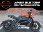 Thumbnail Photo 0 for 2020 Harley-Davidson Livewire