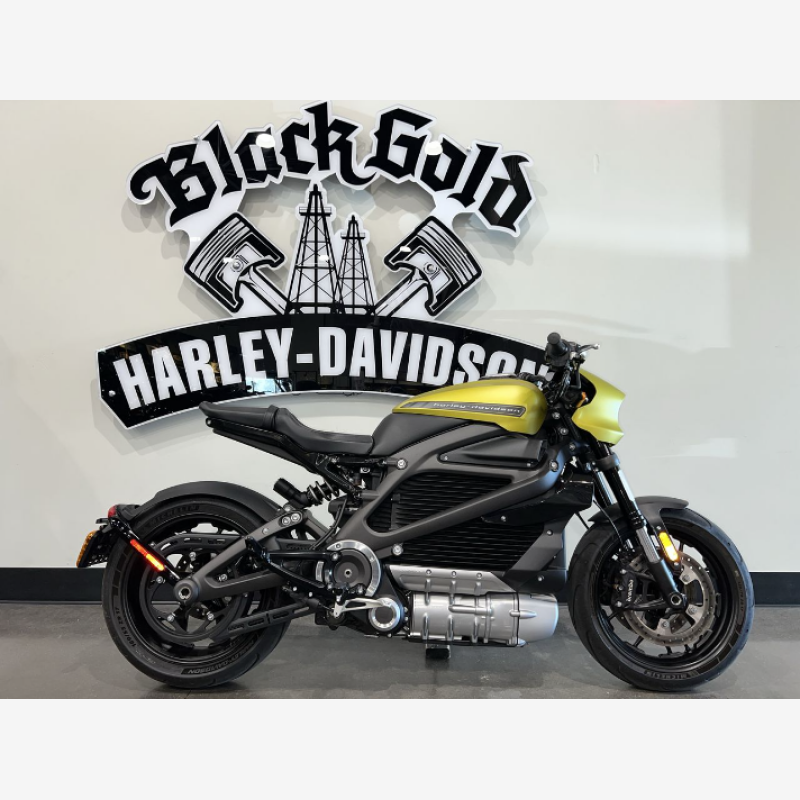 Harley davidson electric online motorcycle cost