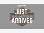 Thumbnail Photo 8 for 2020 Harley-Davidson Police