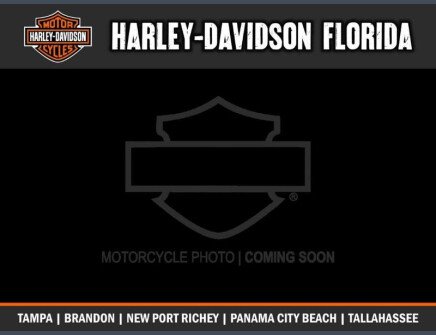 Photo 1 for New 2020 Harley-Davidson Softail Low Rider S