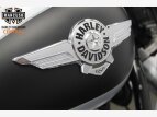Thumbnail Photo 14 for 2020 Harley-Davidson Softail Fat Boy 114