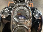 Thumbnail Photo 18 for 2020 Harley-Davidson Softail Low Rider