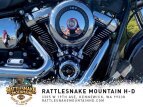 Thumbnail Photo 28 for 2020 Harley-Davidson Softail Deluxe