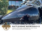 Thumbnail Photo 27 for 2020 Harley-Davidson Softail Deluxe