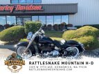 Thumbnail Photo 20 for 2020 Harley-Davidson Softail Deluxe