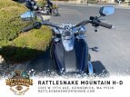 Thumbnail Photo 24 for 2020 Harley-Davidson Softail Deluxe