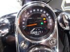 Thumbnail Photo 17 for 2020 Harley-Davidson Softail Low Rider