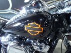 Thumbnail Photo 3 for 2020 Harley-Davidson Softail Low Rider
