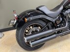 Thumbnail Photo 13 for 2020 Harley-Davidson Softail Low Rider S