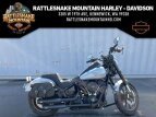Thumbnail Photo 0 for 2020 Harley-Davidson Softail Low Rider S