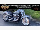 Thumbnail Photo 0 for 2020 Harley-Davidson Softail Fat Boy 114