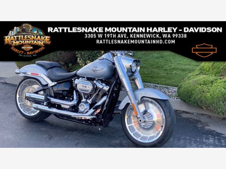 Thumbnail Photo undefined for 2020 Harley-Davidson Softail Fat Boy 114