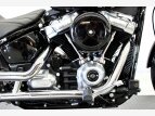 Thumbnail Photo 13 for 2020 Harley-Davidson Softail Standard