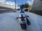 Thumbnail Photo 10 for 2020 Harley-Davidson Softail Low Rider S