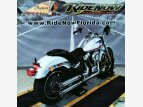 Thumbnail Photo 14 for 2020 Harley-Davidson Softail Low Rider