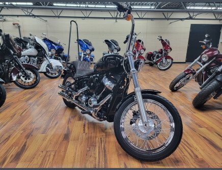 Photo 1 for 2020 Harley-Davidson Softail Standard