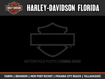 New 2020 Harley-Davidson Softail Low Rider S