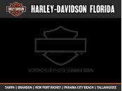 New 2020 Harley-Davidson Softail Low Rider S