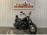 2020 Harley-Davidson Softail Street Bob for sale 201357279