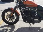 Thumbnail Photo 16 for New 2020 Harley-Davidson Sportster Iron 883