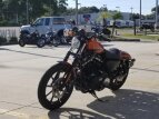 Thumbnail Photo 3 for New 2020 Harley-Davidson Sportster Iron 883