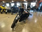 Thumbnail Photo 9 for 2020 Harley-Davidson Sportster Iron 1200