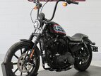 Thumbnail Photo 2 for 2020 Harley-Davidson Sportster Iron 1200