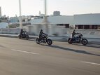 Thumbnail Photo 38 for 2020 Harley-Davidson Sportster Iron 1200