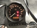 Thumbnail Photo 18 for 2020 Harley-Davidson Sportster Iron 883