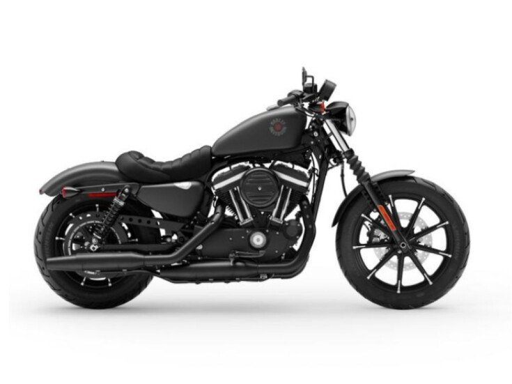 Thumbnail Photo undefined for 2020 Harley-Davidson Sportster Iron 883
