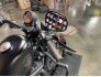 2020 Harley-Davidson Sportster Iron 883 for sale 201313159
