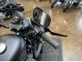2020 Harley-Davidson Sportster Iron 883 for sale 201336224