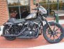 2020 Harley-Davidson Sportster for sale 201366664