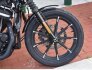 2020 Harley-Davidson Sportster for sale 201366664