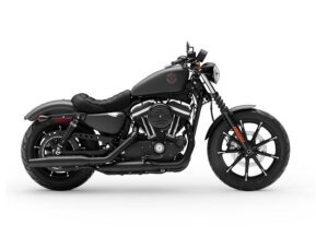 2020 Harley-Davidson Sportster Iron 883 for sale 201382543