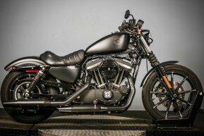 2020 Harley-Davidson Sportster Iron 883 for sale 201423502