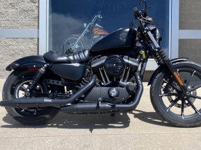 2020 Harley-Davidson Sportster Iron 883 for sale 201454218