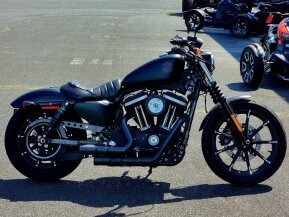 2020 Harley-Davidson Sportster Iron 883 for sale 201460640