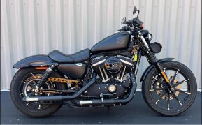 2020 Harley-Davidson Sportster Iron 883 for sale 201478484