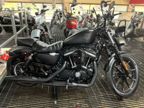 2020 Harley-Davidson Sportster Iron 883 for sale 201555870