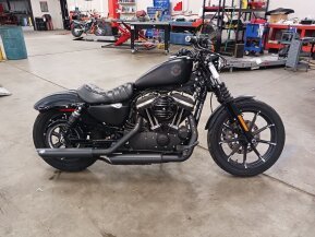 2020 Harley-Davidson Sportster Iron 883 for sale 201598216