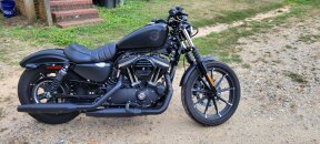 2020 Harley-Davidson Sportster 883