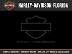 Thumbnail Photo 25 for New 2020 Harley-Davidson Touring Ultra Limited