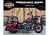 2020 Harley-Davidson Touring Road King Special