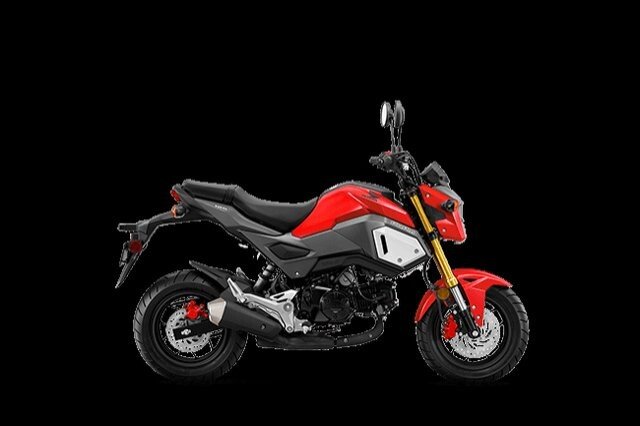 honda grom autotrader
