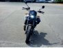 2020 Indian FTR 1200 Rally for sale 201319195