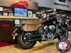 Thumbnail Photo 8 for 2020 Indian Scout